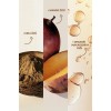 Boyalı Saçlar için Koruyucu Saç Kremi 350 ML