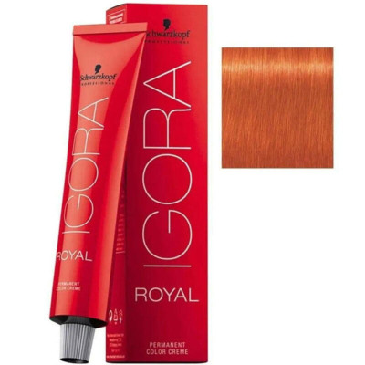 Igora Royal Saç Boyası 0-77 Bakır Yoğunlaştıcı 60 ML