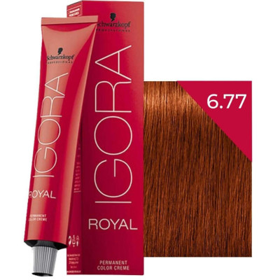 Igora Royal Saç Boyası 6-77 Yoğun Bakır Koyu Kumral 60 ML