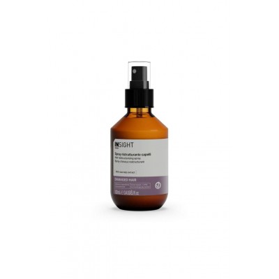 Insight Yeniden Yapılandırıcı Sprey 100 ML